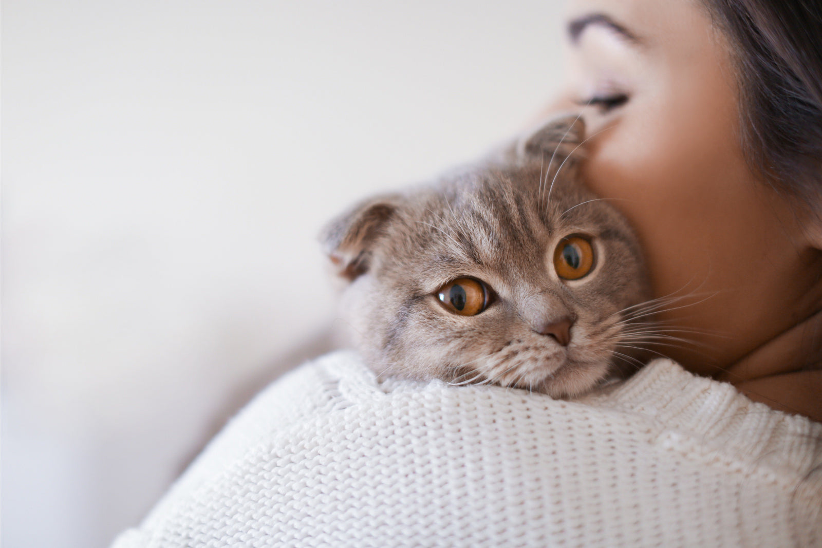 cat with human