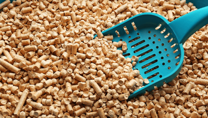 The Benefits of Using Natural Cat Litter