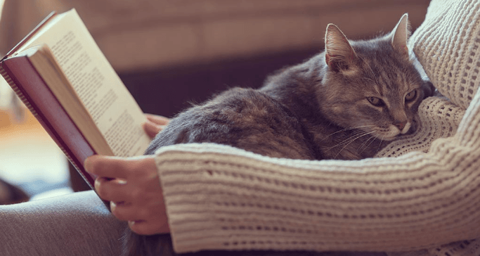 Why Does Your Cat "Knead" You?
