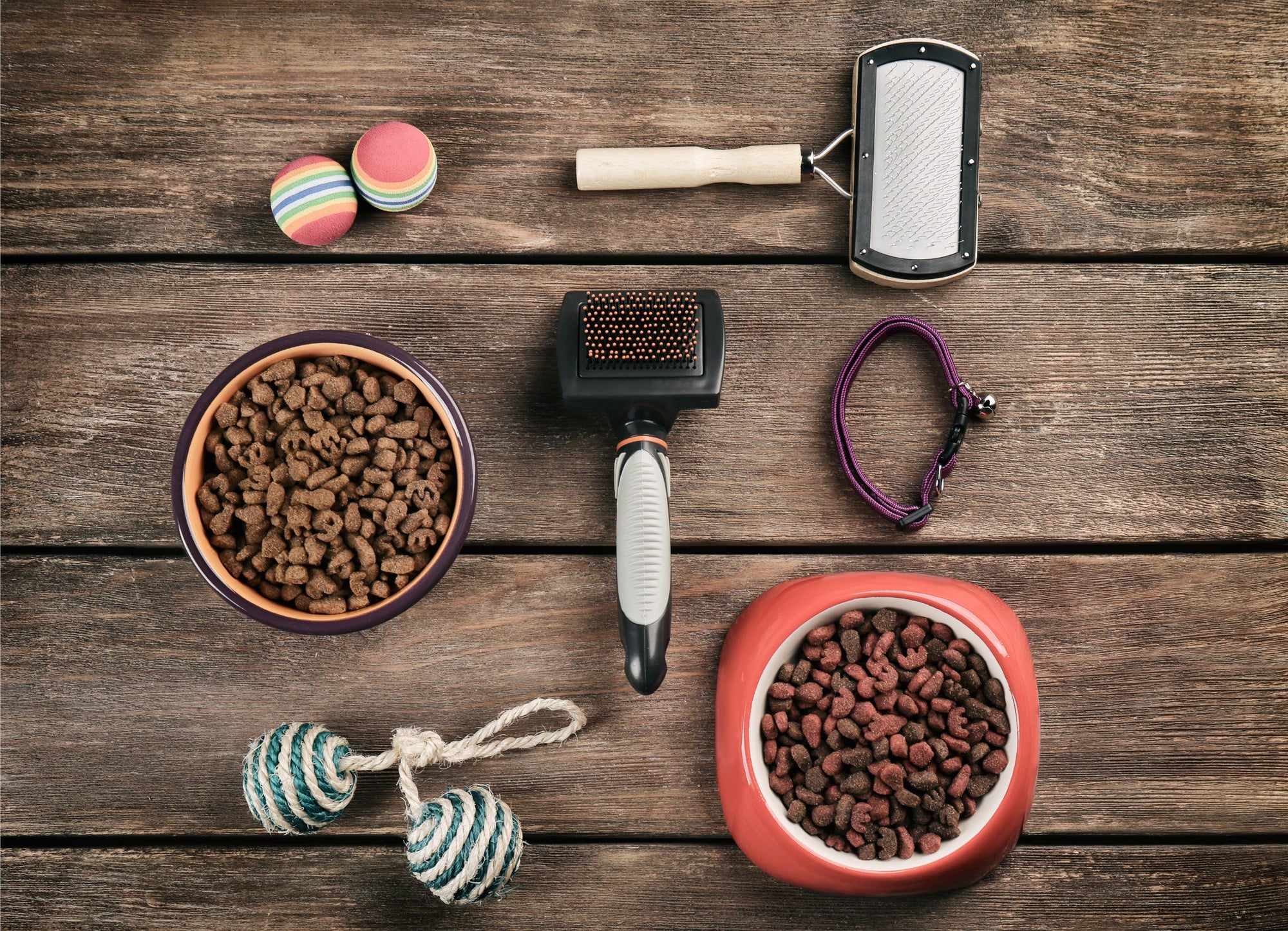 cat accessories