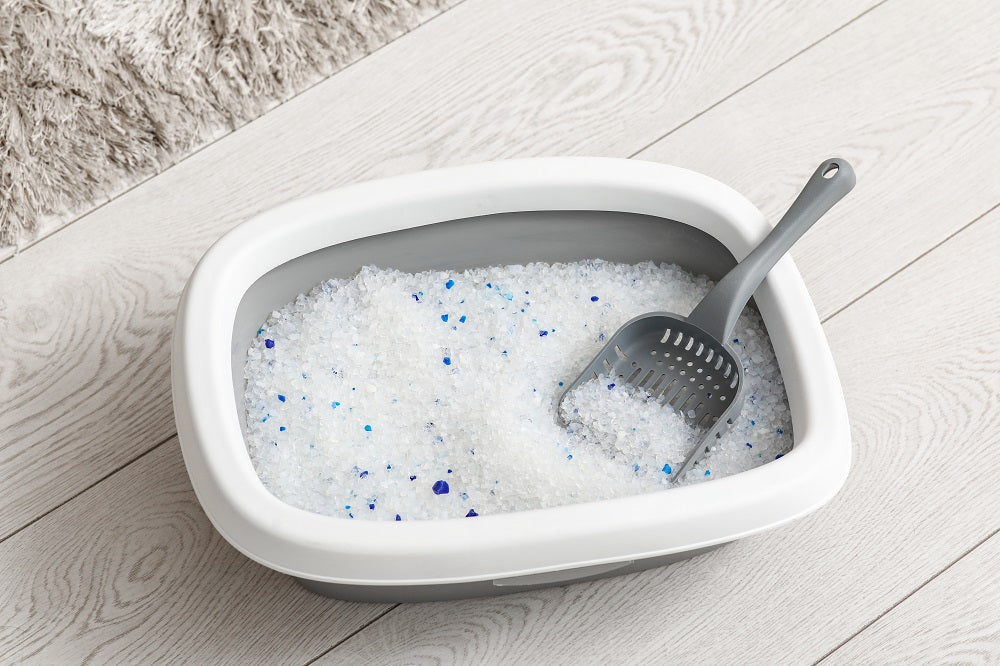 Is Silica Cat Litter Safe? What Cat Parents Need to Know
