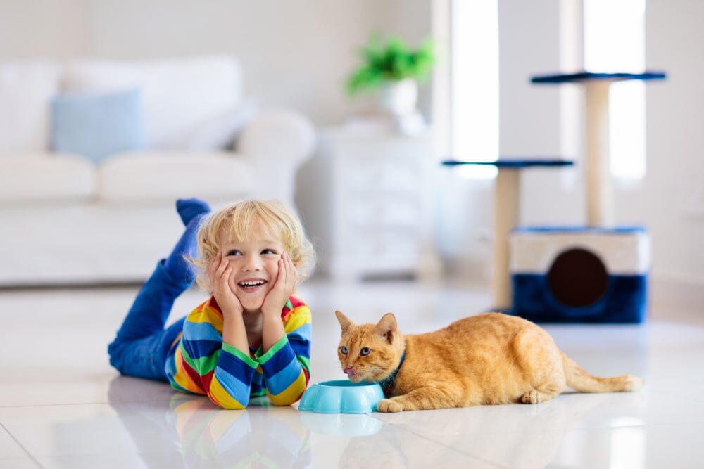 kid with cat