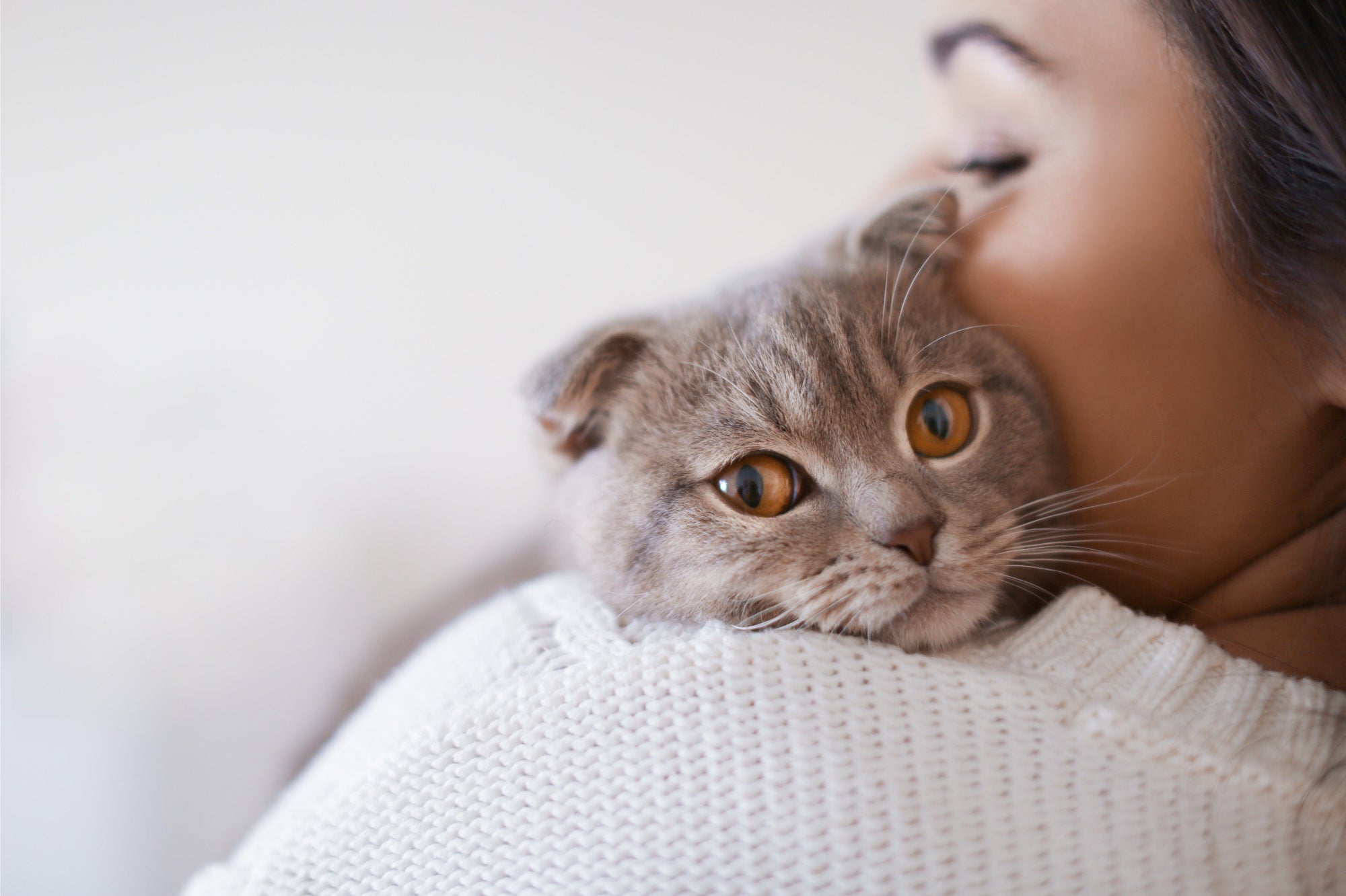 cat with human