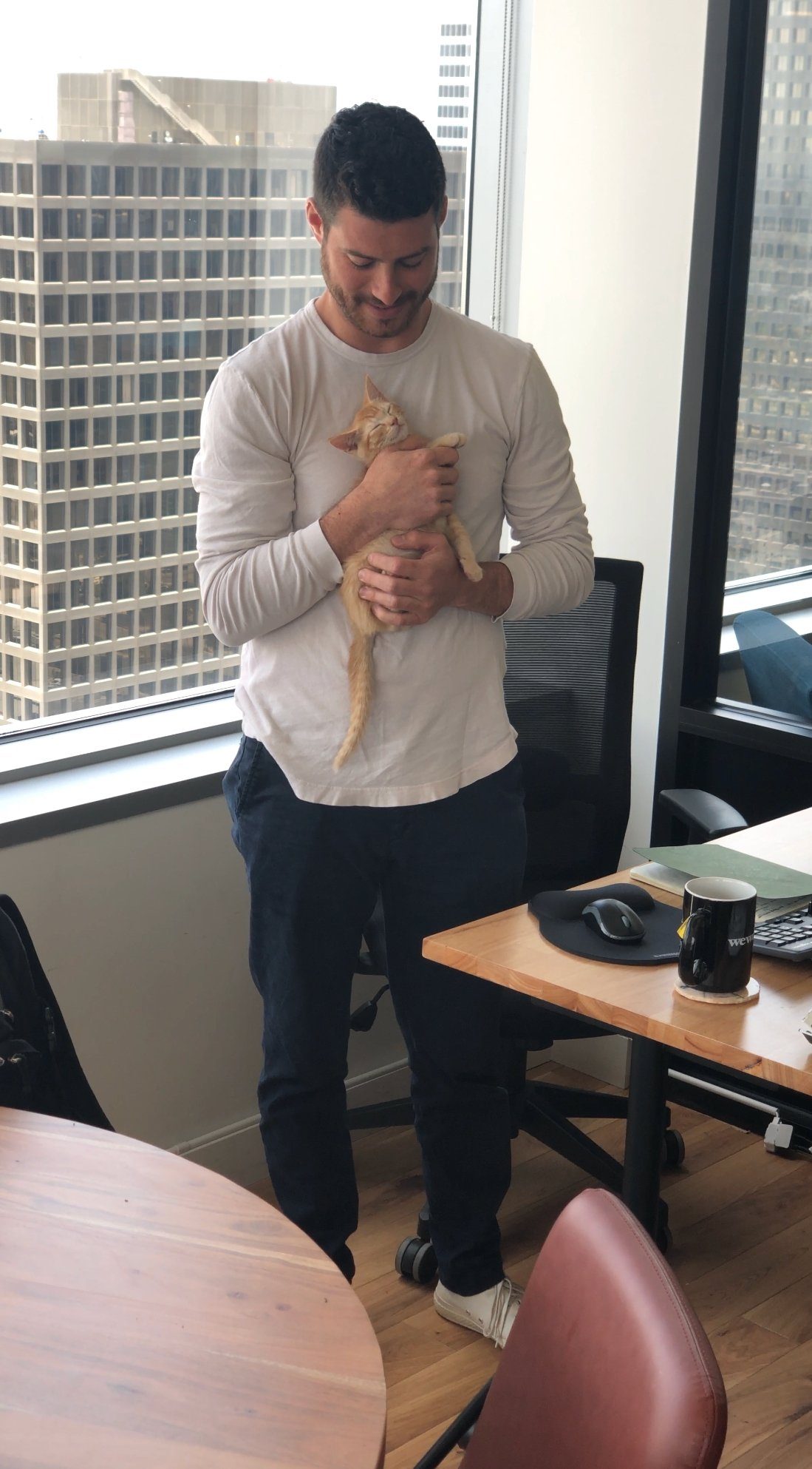 Happy Cat Father's Day!