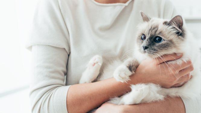 man holding cat