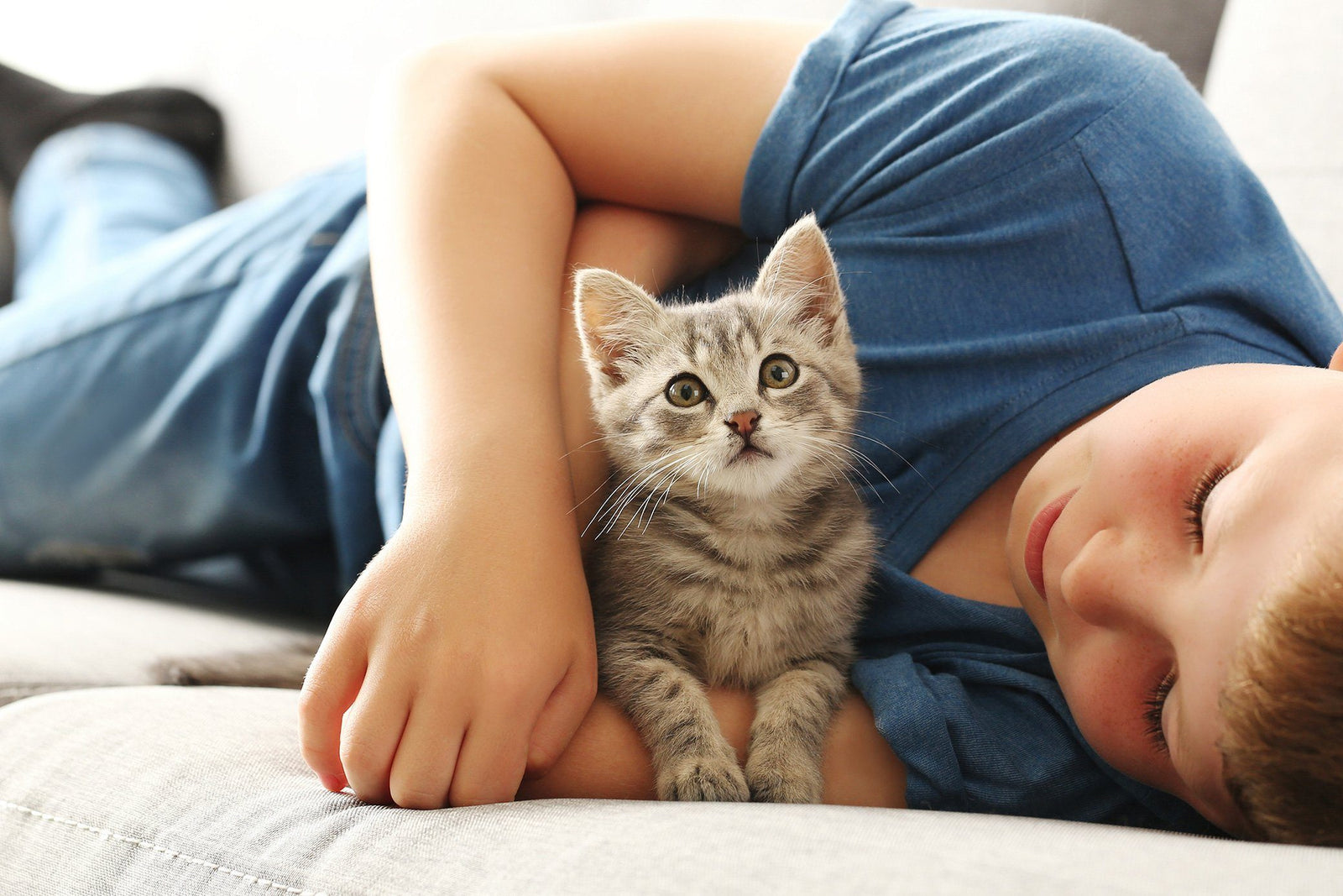 Cat Facts for Kids for a Purrfect First Day Back of School